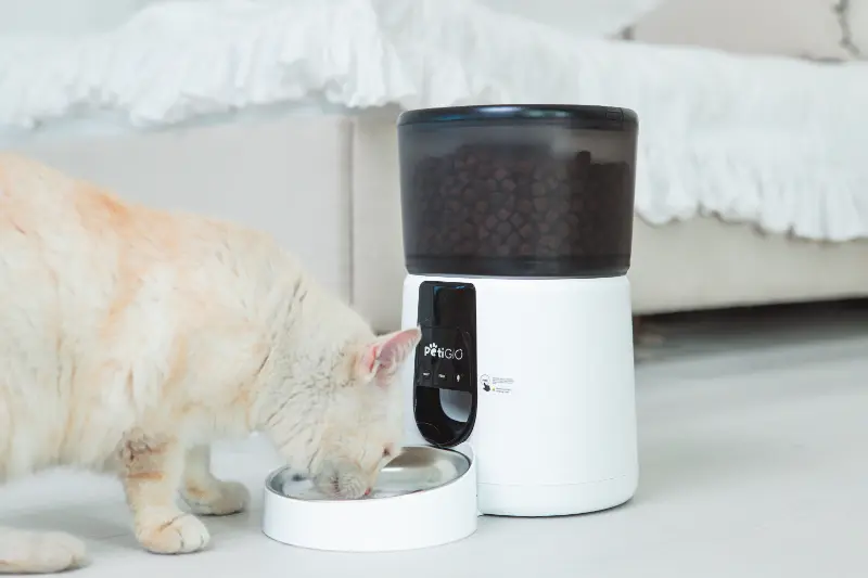 Peti-to-Eat automatic pet feeder