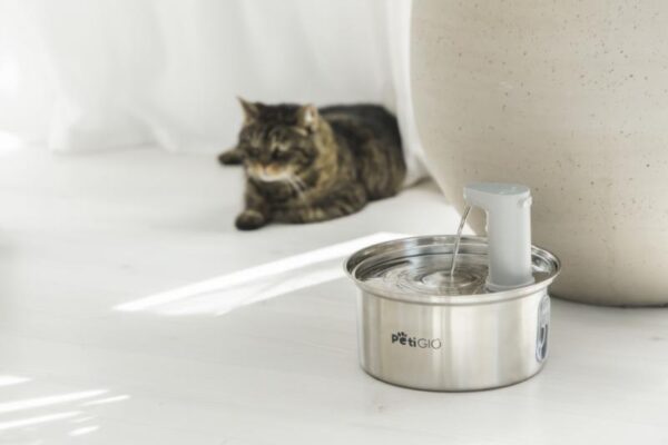 Smart fountain/drinker for pets Peti-to-Eat PETI-150 - Image 3