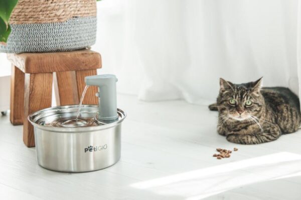 Smart fountain/drinker for pets Peti-to-Eat PETI-150 - Image 4