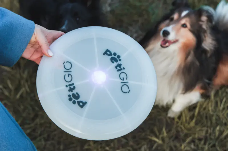 Peti-to-Go LED flying disk