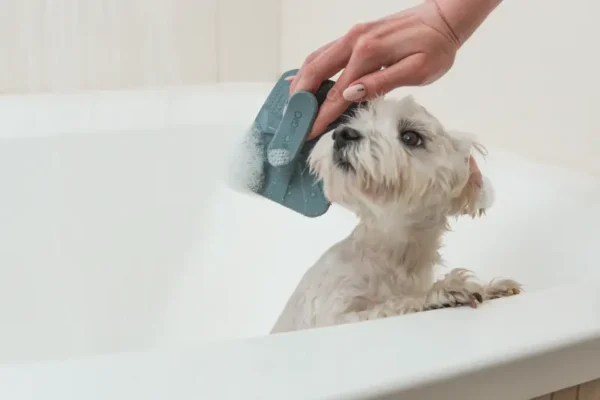 Silicone pet grooming brush Peti-to-Care PETI-400 - Image 8