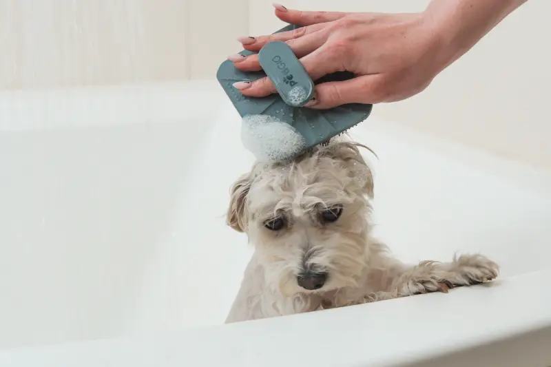 Peti-to-Care silicone grooming brush