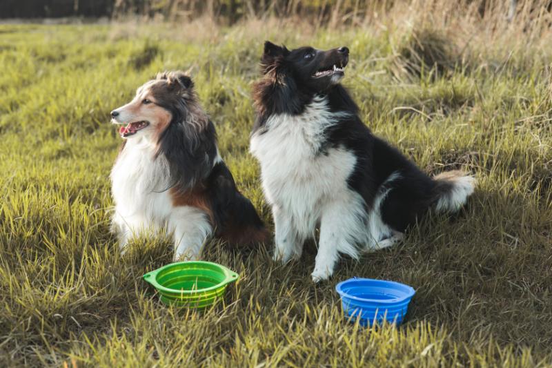 Silicone travel bowl Peti‑to‑Go PETI‑180MIX