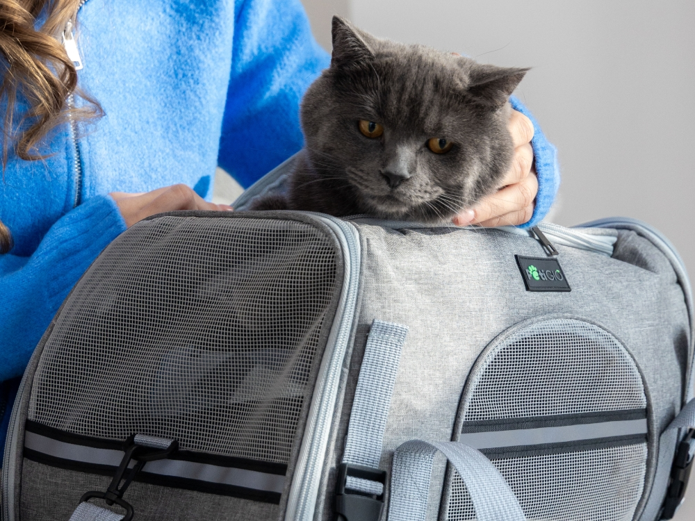 Peti-to-Travel Pet carrier PETI-750-LG