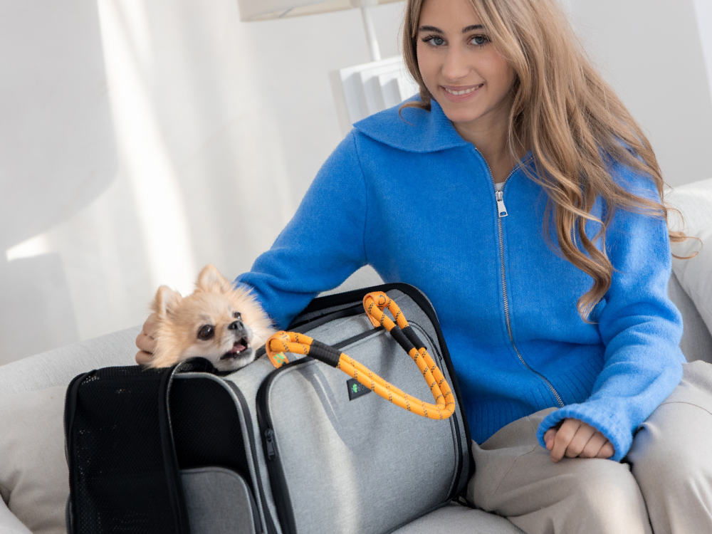 Peti-to-Travel Pet Carrier PETI-754-G - Image 3