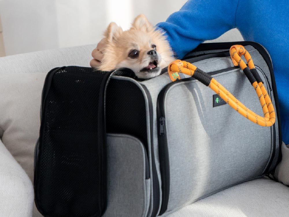Peti-to-Travel Pet Carrier PETI-754-G - Image 7