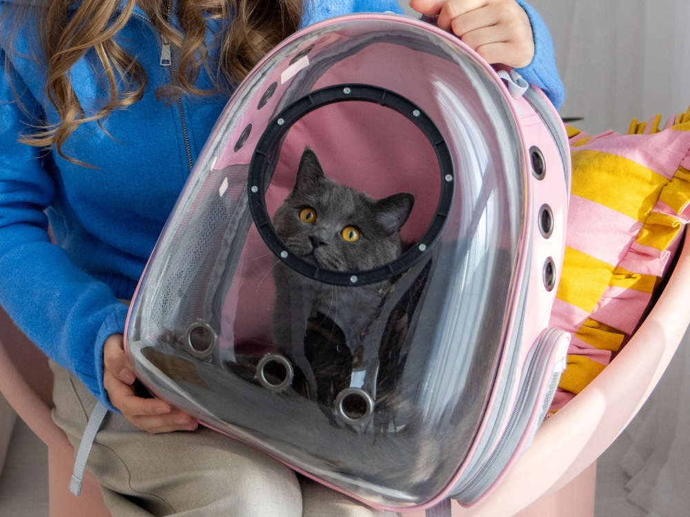 Peti-to-Travel – Pet Backpack PETI-755-P