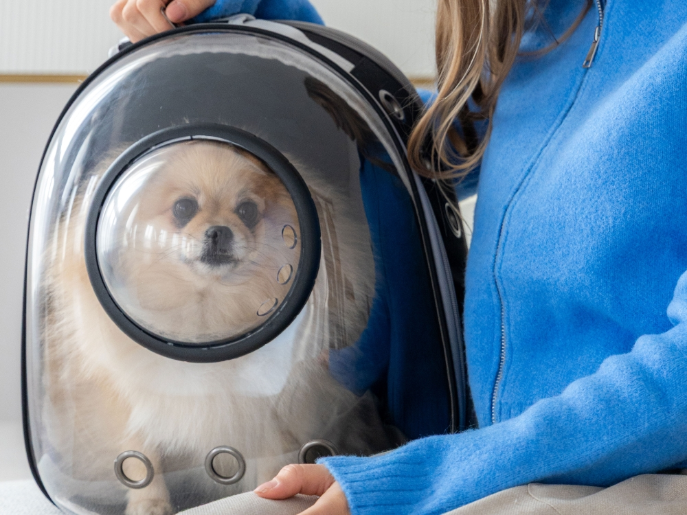 Peti-to-Travel – Pet backpack PETI-755-B