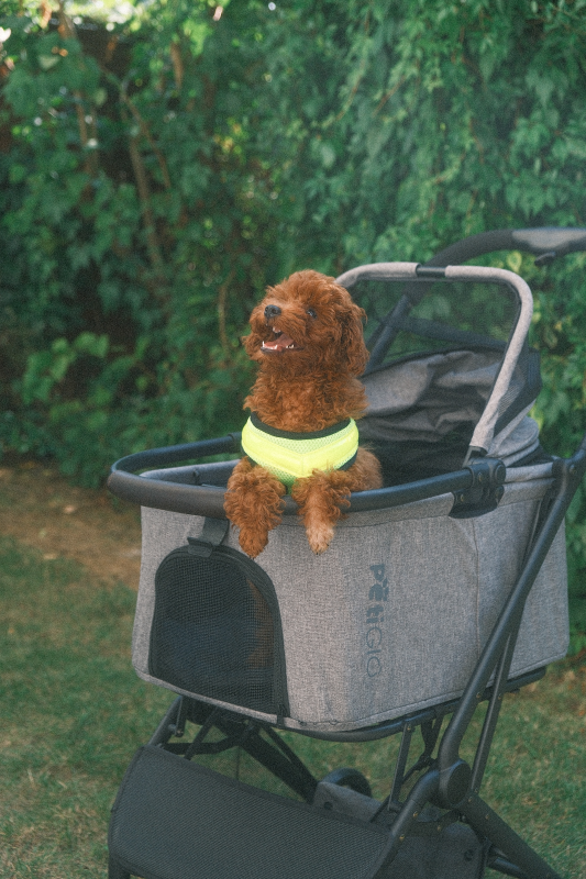 Peti-to-Travel PETI-700 pet stroller